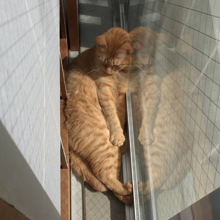 C4eaf88b 5b2c 446b a5cf b1ce29b6a6d5 1533169400334