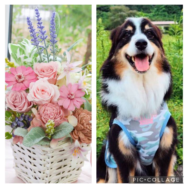 C4eafcea c1b1 4f90 97a3 2b8b7cffe793 1764545024603