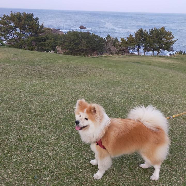 C4eb0ad2 ecef 4a0a 9036 951b80d46f01 1653573435304