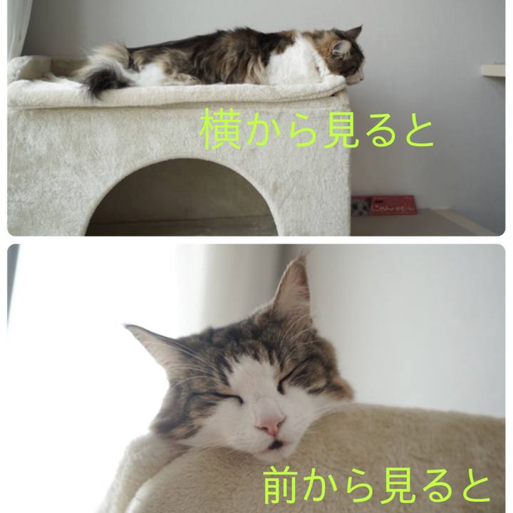 C4eb272a e5ba 4343 808f 88c96a1b3205 1600487798315