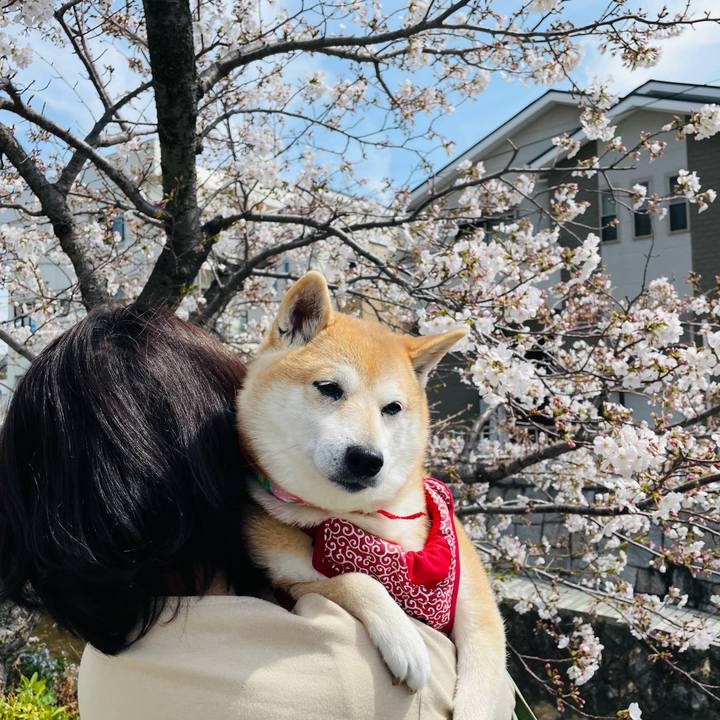 C4eb3f36 bdf7 45ec 9a63 8054a12c4394 1616931046733