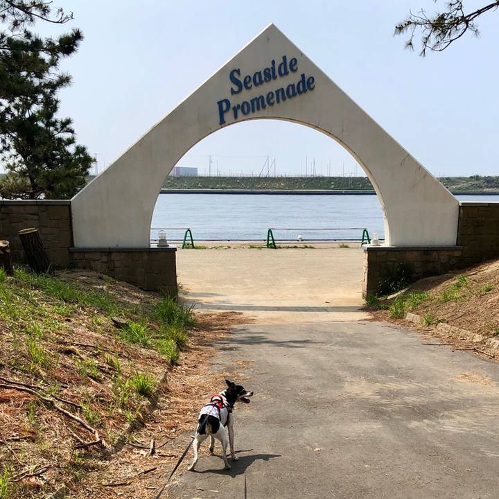 C4eb89b5 79d5 48f2 aefa e8a395b65bed 1555829381087