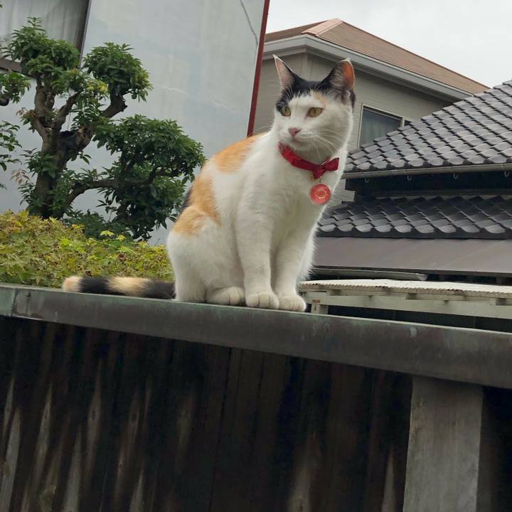 C4ec3bae 1022 4a38 a0cd e02d451b49c9 1631710792396