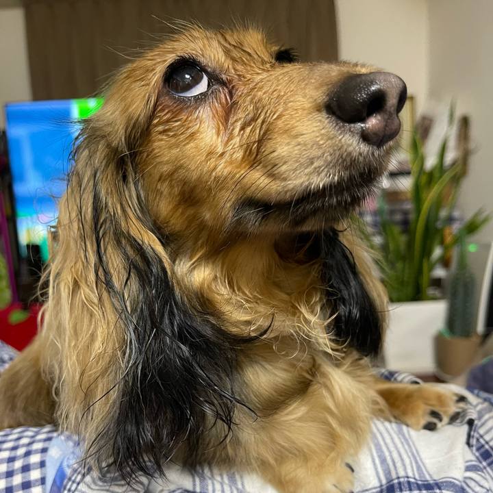 C4ec3c40 aed3 4ffb 862a c1706f71b6f0 1661513535888