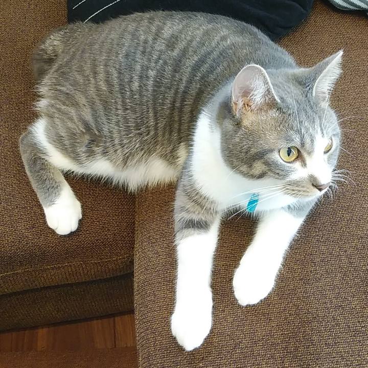 C4ec9525 84b2 4ae2 93a3 fccc01c8736b 1581646305235