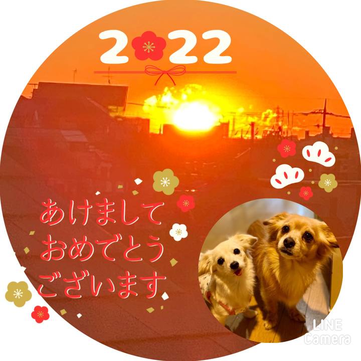 C4ecebb9 85eb 47e6 8b80 1e8e80e3cd93 1641031941360