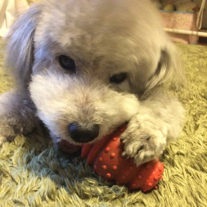 C4ecfaa2 cd06 4af0 943c d5af8555a612 1734480432830