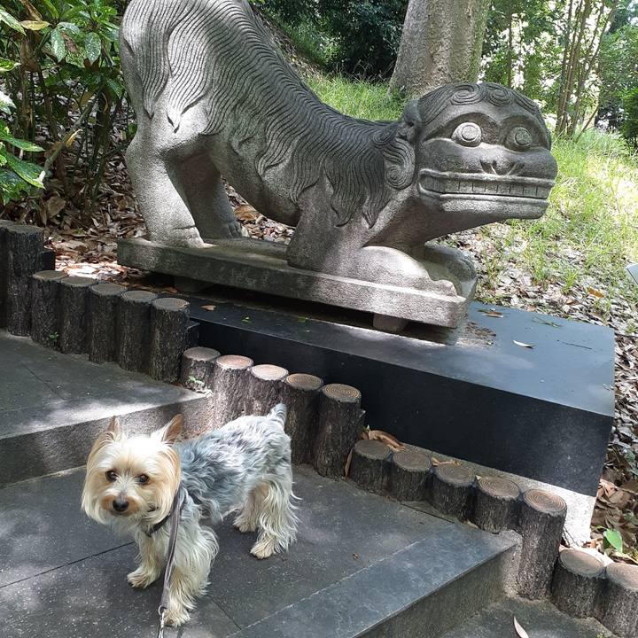 C4ed7c45 f95e 41d2 906c a22f60ba5f54 1686443083795