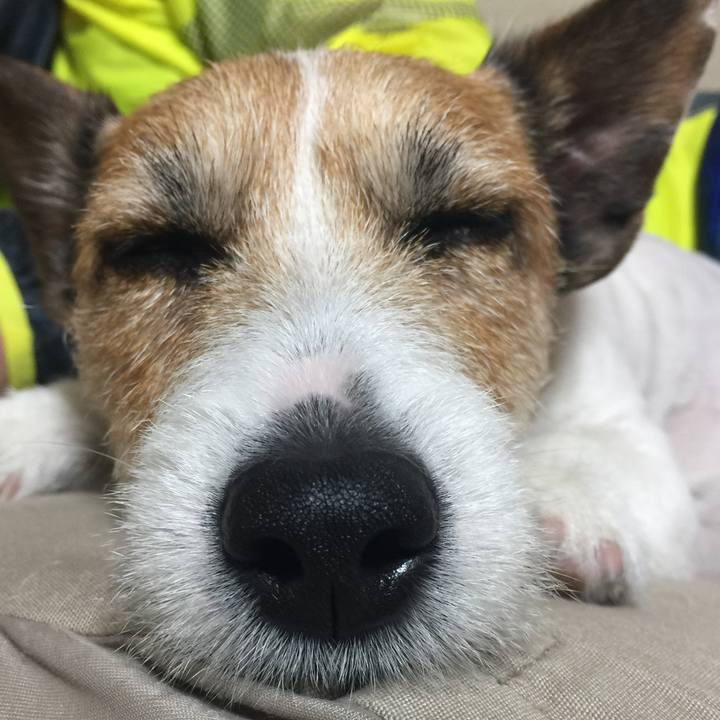 C4ed871c c26f 4162 bc22 5da05e61da1e 1525691986325