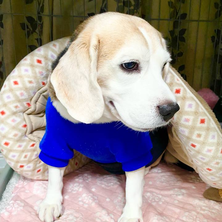 C4ed9a0d aa6f 4d16 a693 73af6bb11699 1637552962889