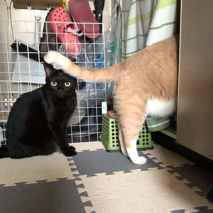 C4eda16d c4c9 42a8 8f71 bf931b810899 1536280068531