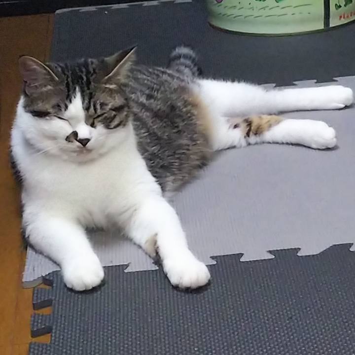 C4edaeb3 8b35 4a00 b9dd 91989802f4b4 1621690194488