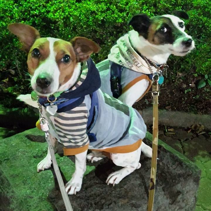 C4edbddd 0536 4be3 930d 1c8c6816841a 1633259230566