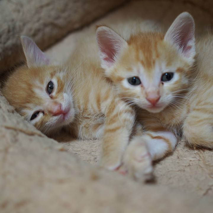 C4ee091d a60e 4c57 8a6e a1c6b3f0dbff 1569988565098