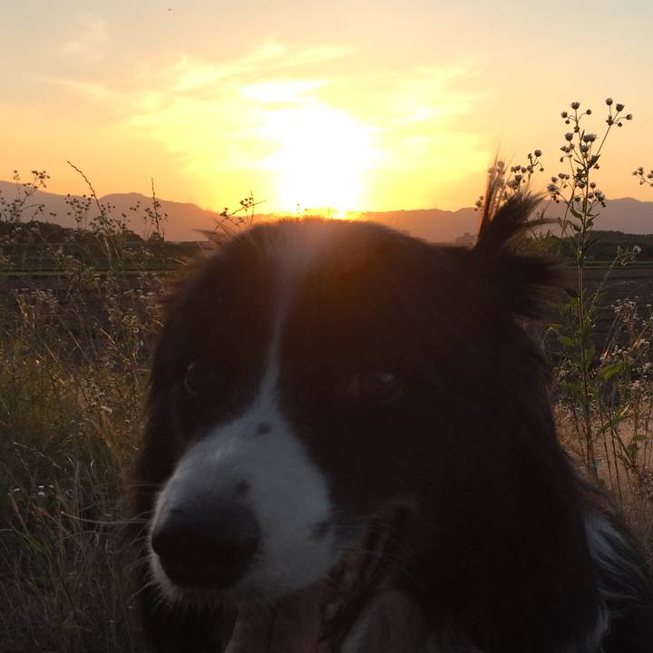 C4ee10e8 a7b8 4ac9 9fe5 ccaee99fc3fe 1529144861788