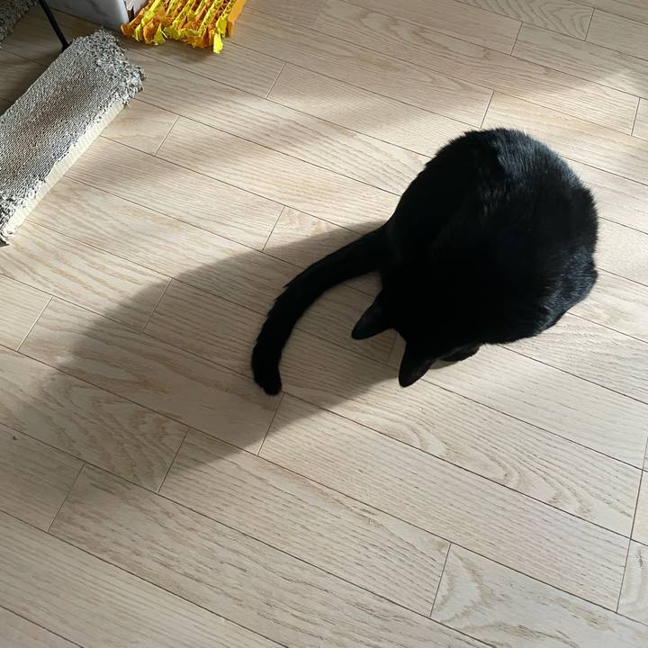 C4ee1652 e6e1 427c 8c48 d117a8655692 1746365129008