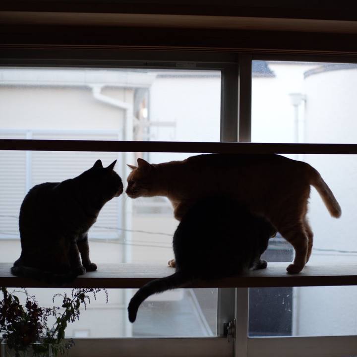 C4ee24ee 07b6 4fe9 a284 b10ec033e260 1734044730195