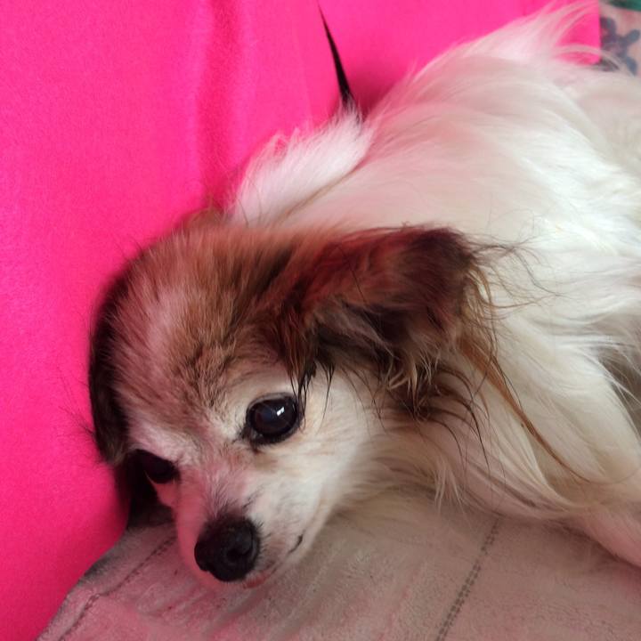 C4ee4be0 2cf7 47b1 9609 fe868d31e335 1552523918407