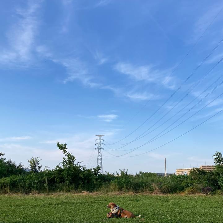 C4ee65c6 dd57 4458 855d fe600e3da946 1720396543779