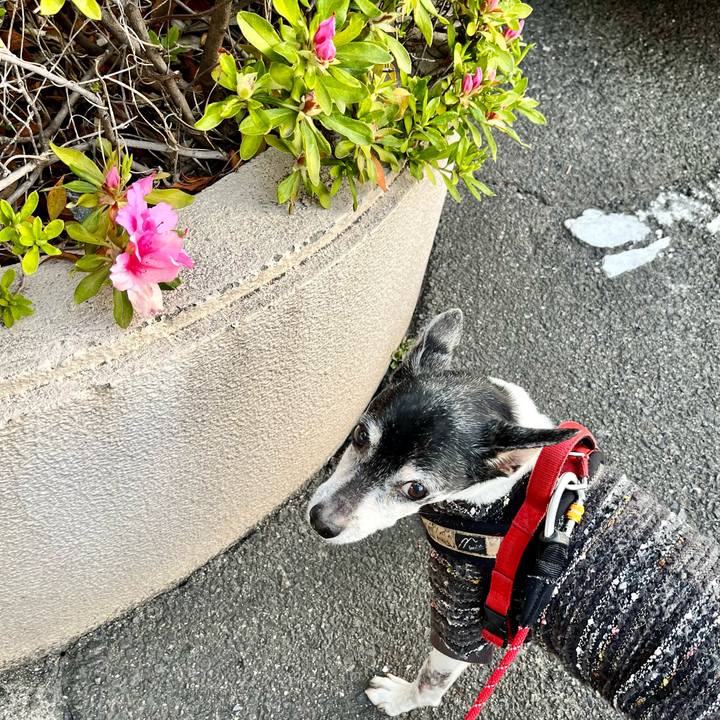 C4ee6bd8 d017 4ca2 a63d a20782150f8a 1649282704021