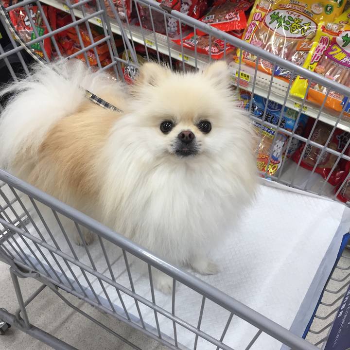 C4ee7cdd 14d8 4c7c 96f2 ffe01b864726 1535522803454