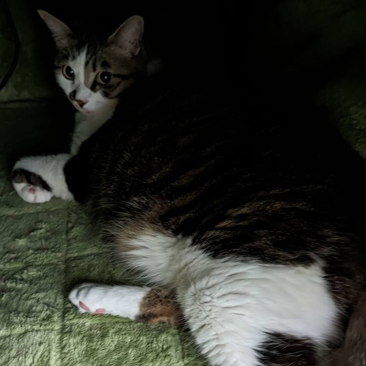 C4eeaa36 91e8 4cd3 ac27 269f53f8dec6 1678925455513