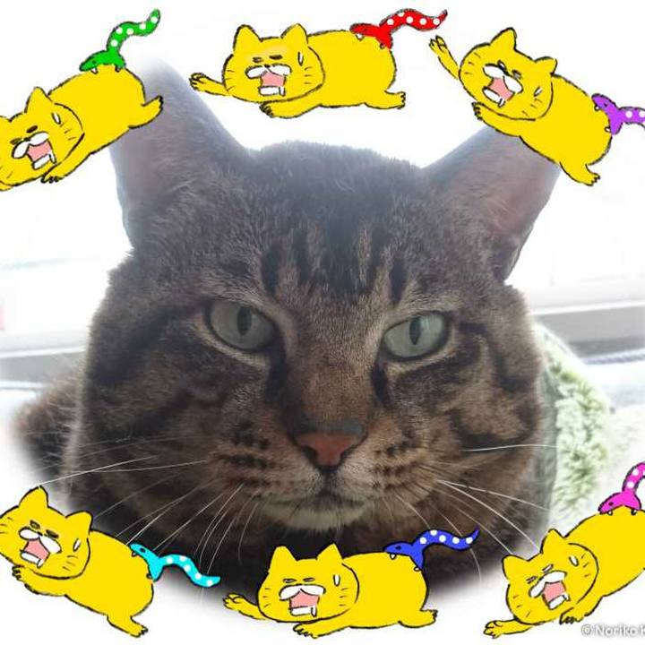 C4eeb0d5 2195 4c16 bd36 4b343c878b6d 1531833108854