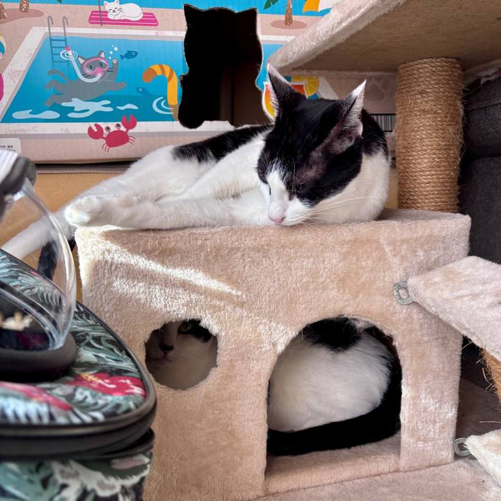 C4eed56f b60c 4ecf 9baa d08bb4dac1ec 1766913183742