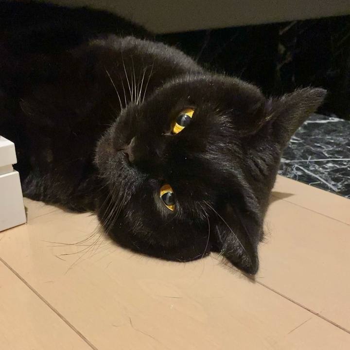 C4eedfae a5ec 4bdf 8639 2831113c467c 1663233364890