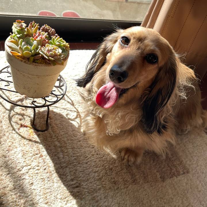 C4eef7c3 00f7 480a 9059 c064942eb0f1 1768451148000