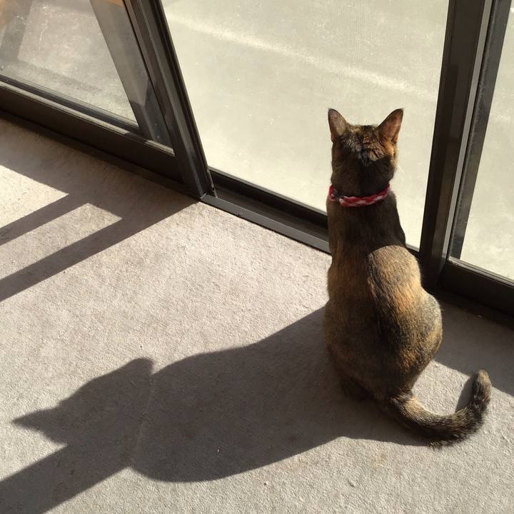 C4ef3ef2 ec7d 4a50 baf2 2d54894a5e8c 1606808365054