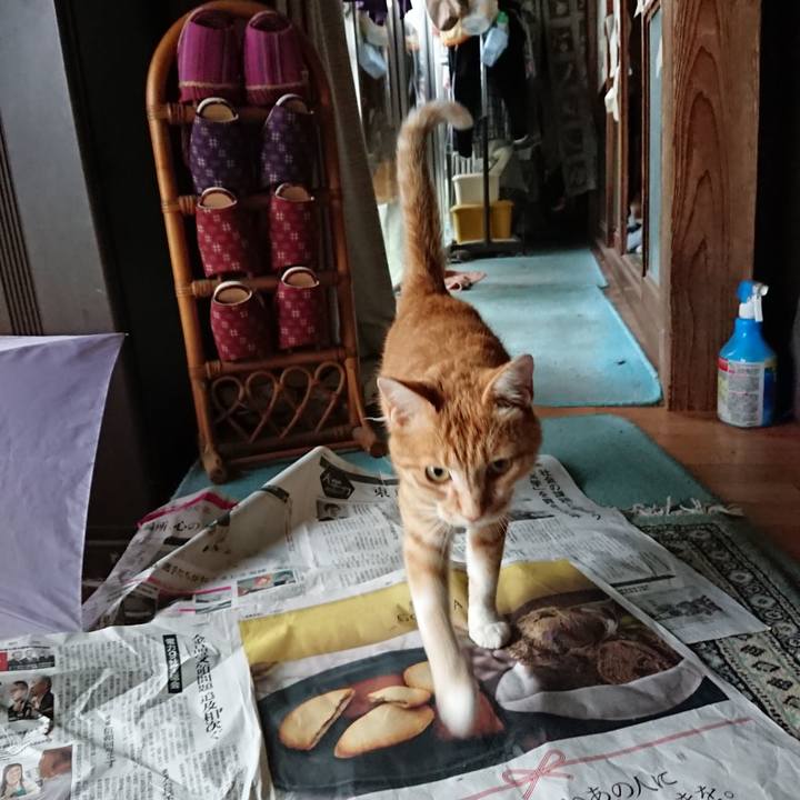 C4ef3f56 516a 43c9 8197 8be334d89a04 1594803513565