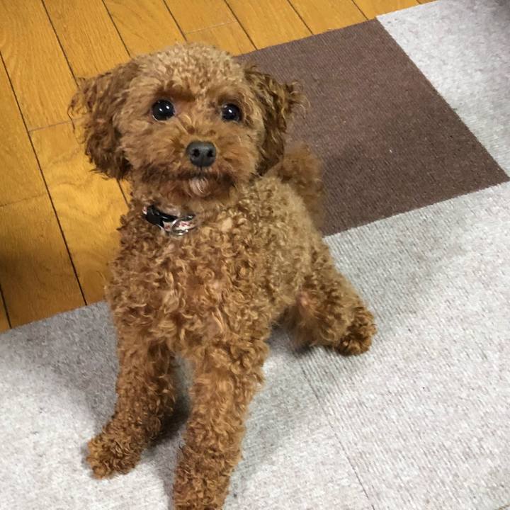 C4ef4c64 d584 4675 a436 277eacf25500 1529069719478