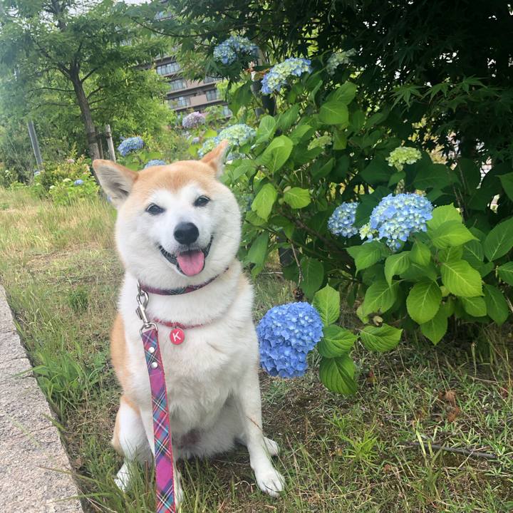 C4ef5bb2 bed2 4d6e b212 04c62dac7ee8 1716952814768