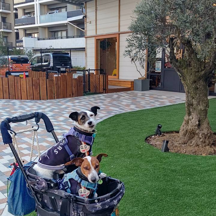 C4ef7038 346d 4323 89d2 cddafec502ac 1707735899038