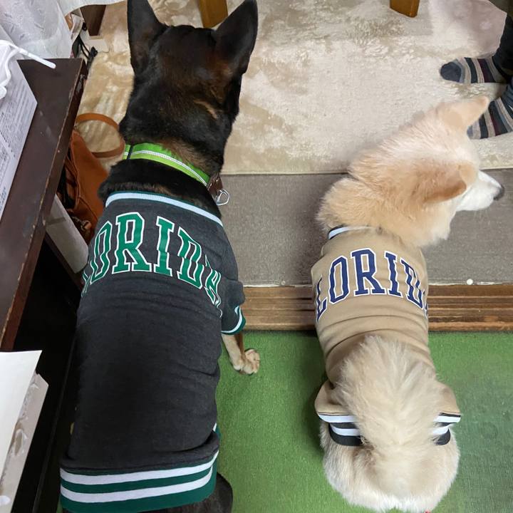 C4ef803a 7bb8 4bfe 9534 5573aa1fcd93 1672795540542