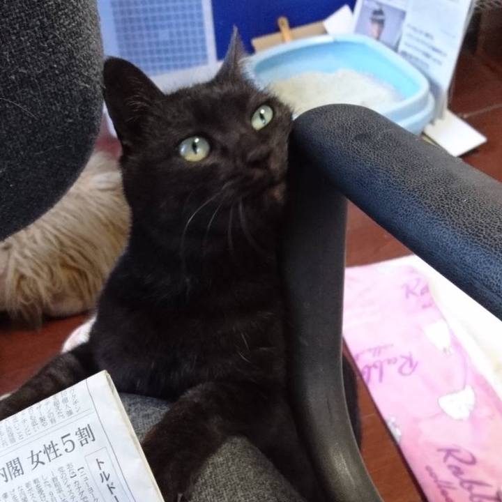 C4ef8c34 2fa7 4b33 a125 ca744d629066 1641207885722