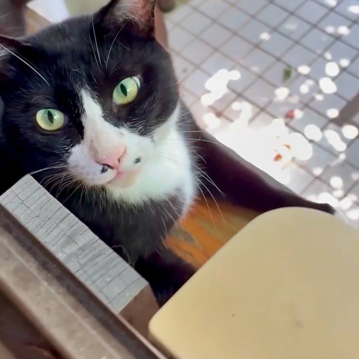 C4efb2db aebf 4c87 8654 169f86649fc6 1753358048400