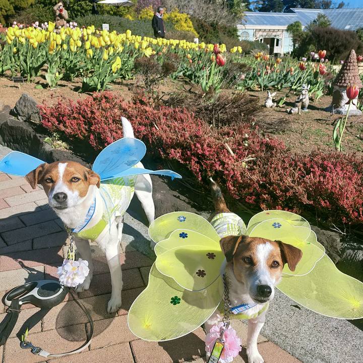 C4efd4c6 df69 41d0 b2d6 3af2e0f7261c 1769162347462