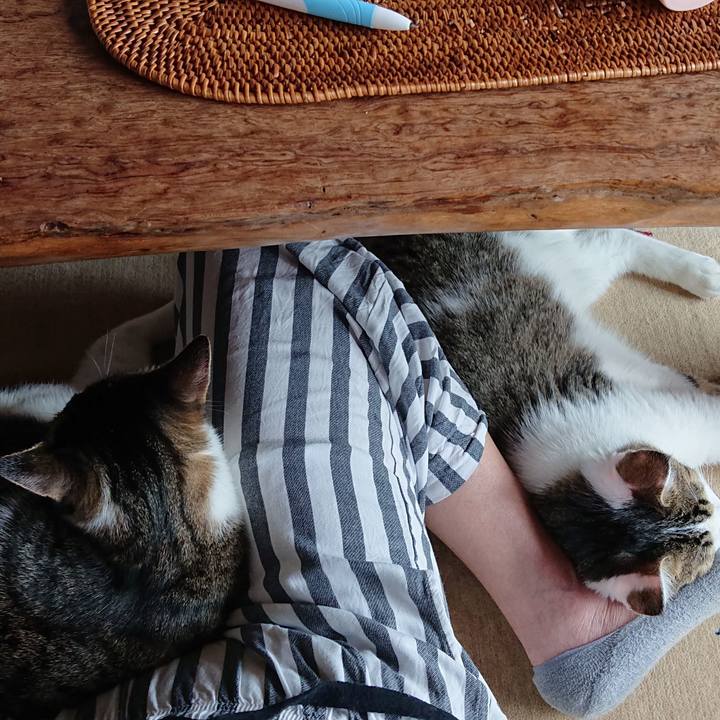 C4f01248 f7b7 4a9e 89d0 63a8f389aeed 1561098602534