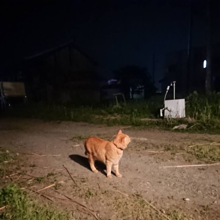 C4f052f2 c69e 45e0 8482 76b5fb31705a 1652962483955