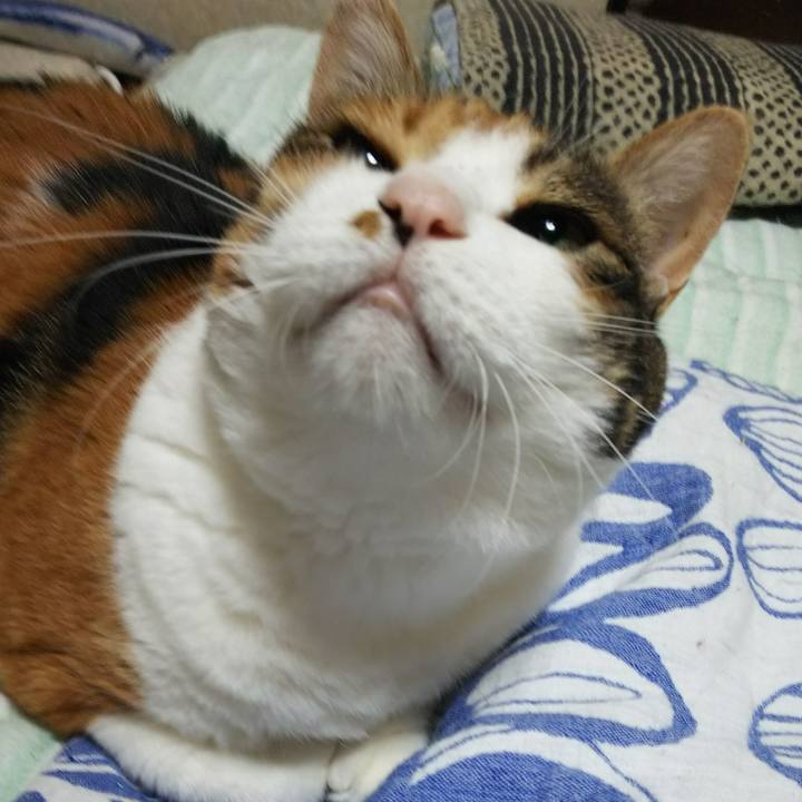 C4f06a8e 5e4b 449b 9616 f252efde8942 1536270067558