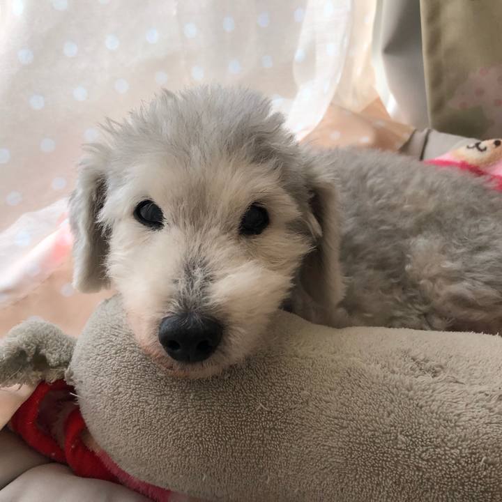 C4f0762a 82c3 4c77 90c3 ebd1addc89e2 1641117384771