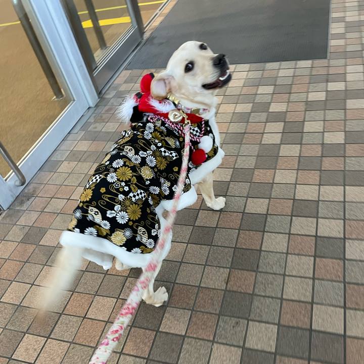 C4f08bfb 320e 4a18 9bda 6894c0f9b225 1641541506078