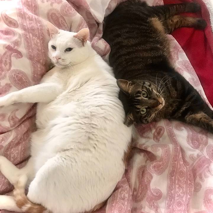 C4f0b9dd 314f 4167 b324 8d3b798e72d1 1587394463619