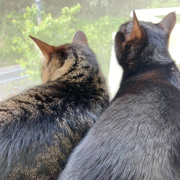 C4f0ef87 ffd4 4f07 8714 a3b167f5f870 1650369211243