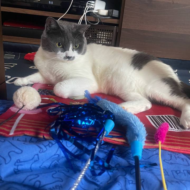 C4f106d4 8455 4714 a772 480f60256706 1721693836679