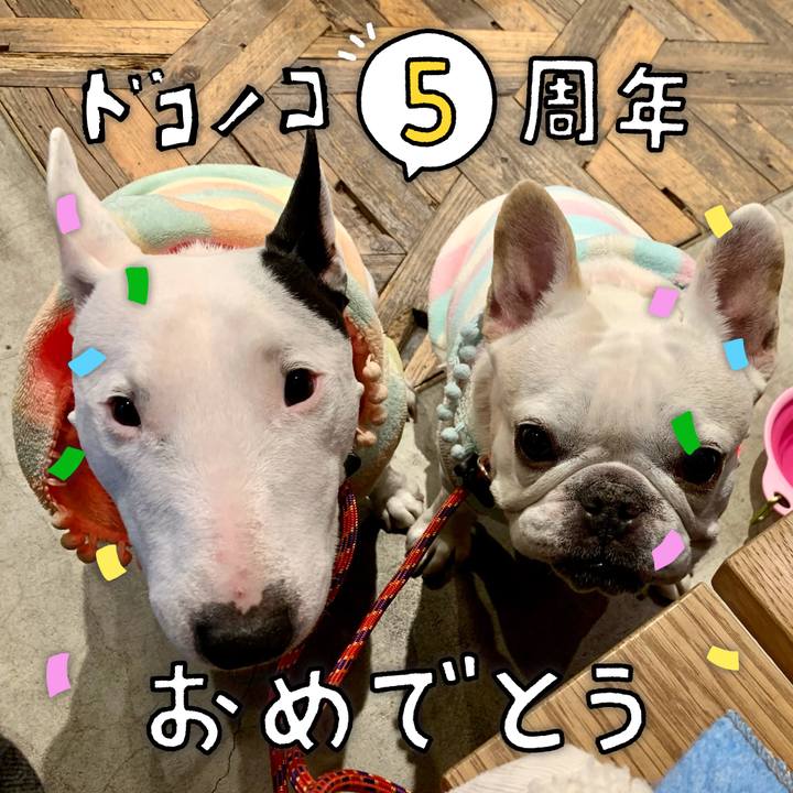 C4f134a9 cb64 4a96 95fa 35fc6b8afb4e 1622908216188