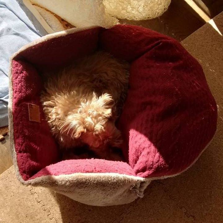 C4f14b2e f31d 4d09 8d88 b2302c81b60f 1591360152926