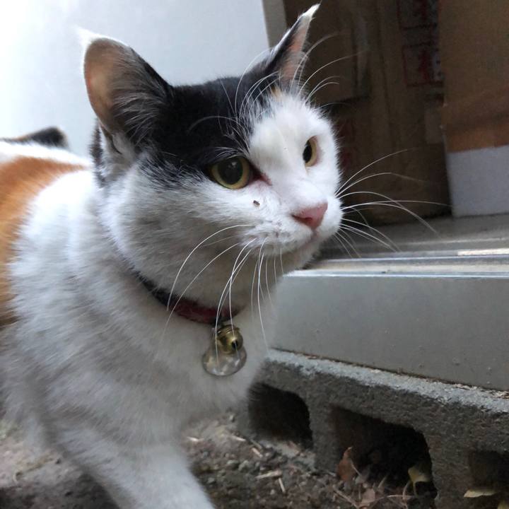 C4f168c6 d058 4735 bb42 ba428bbdf2b6 1609971896655